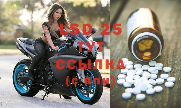 прущие грибы Алзамай
