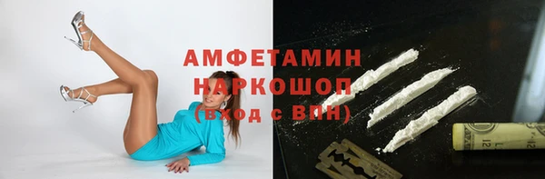 прущие грибы Алзамай