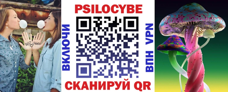 Псилоцибиновые грибы Psilocybe  Санкт-Петербург 