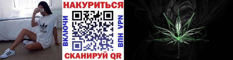 где купить   Санкт-Петербург  Канабис семена 
